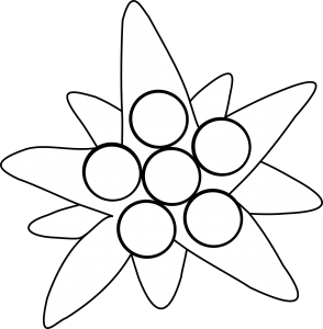 Edelweiss PNG-66308